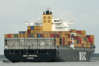 MSC Krystal