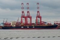 MSC Manzanillo V
