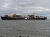 MSC SORAYA