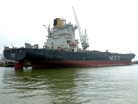 MSC ARUSHI R.