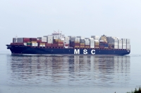 MSC CARLOTTA