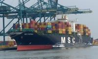 MSC DYMPHNA