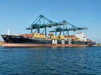 MSC EMMA