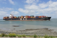 MSC INGRID