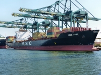 MSC JAPAN