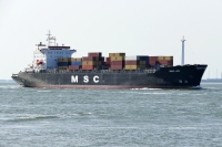 MSC JOY