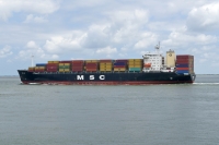 MSC JOY