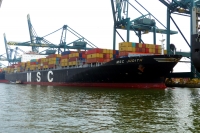 MSC JUDITH