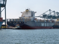 MSC LUISA