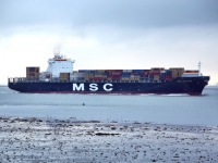 MSC MAUREEN