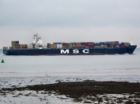 MSC MAUREEN