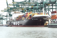 MSC MAUREEN