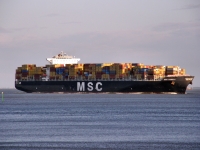 MSC PAMELA
