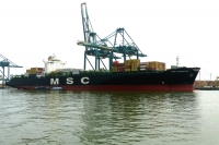 MSC SAMANTHA
