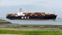 MSC SHAULA