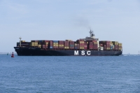 MSC SHAULA