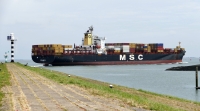 MSC SHAULA