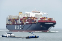 MSC SHREYA B