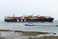 MSC SHREYA B