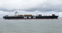 MSC TEXAS