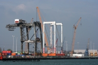 Southampton Cranes