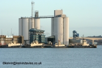 Tugs at Southampton