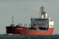 Baltic Claire