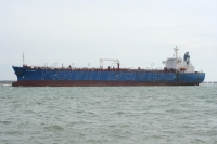 Lepta Mermaid