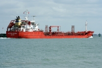 Multitank Bolognia