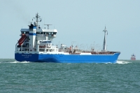 Nautilus