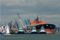 Torm Margit