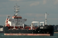 Whitonia