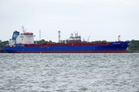 HISTRIA GIADA