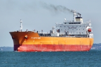 ATLANTIC MUSE