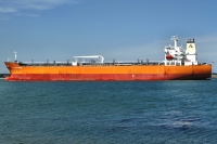 ATLANTIC MUSE