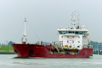 BOMAR VENUS