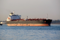 HORIZON DIMITRA