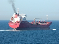 NILUFER SULTAN