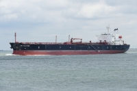 SEA HALCYONE