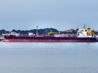 SEARAY