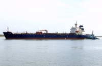 SEASALVIA