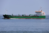 THUN GEMINI