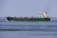 THUN GEMINI