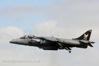 Harrier ZD407