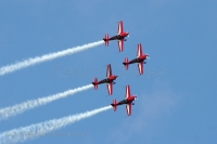 Jordanian Falcons