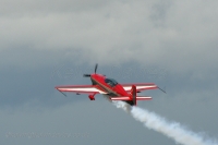 Jordanian Falcons