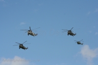Sea Kings