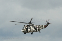 Sea King