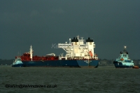 Navion Anglia