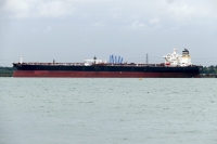 CE-BERMUDA